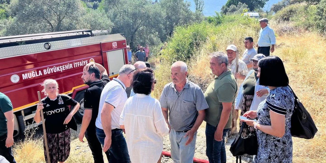 Menteşe'de çıkan yangın kontrol altına alındı