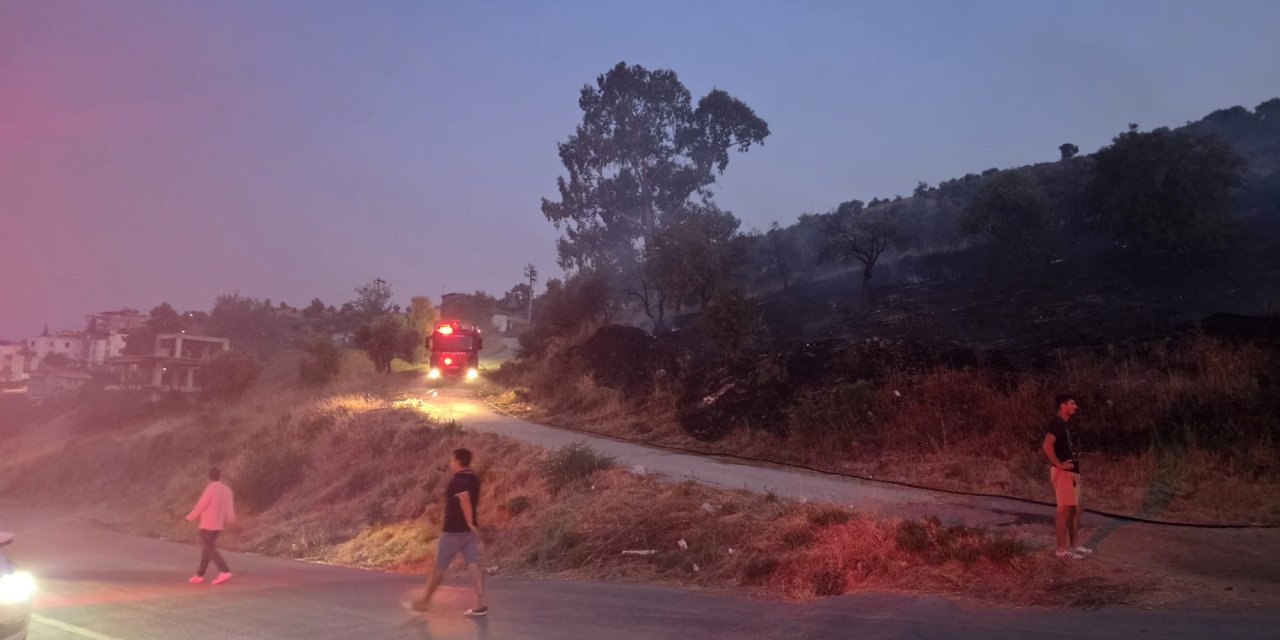 DÜĞÜN KONVOYUNDAN ATILAN MEŞALE YANGIN ÇIKARDI
