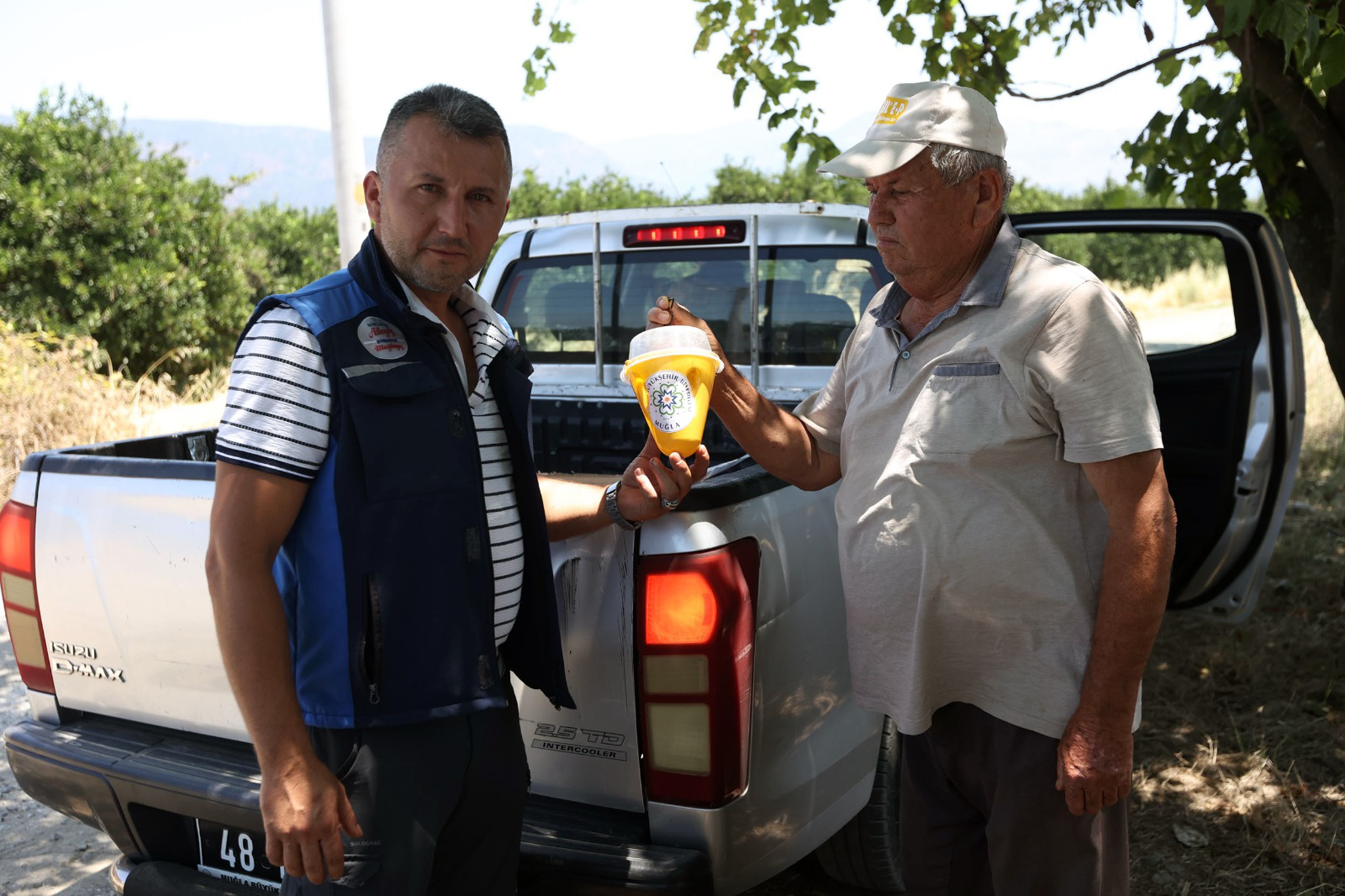 Muğla'da Üreticiye Nefes Aldıran Mücadele: Akdeniz Meyve Sineğine Karşı Biyoteknik Savaş Başladı