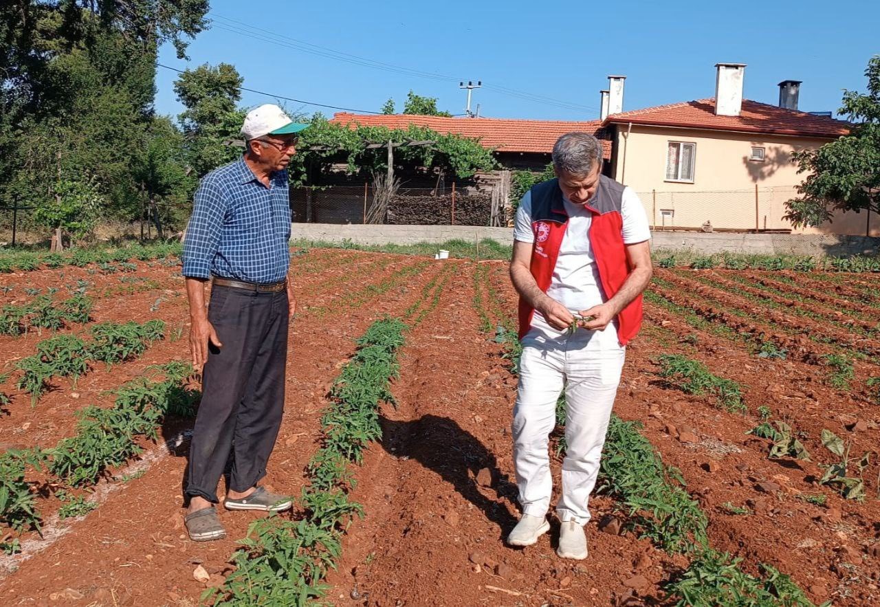Tarladan Sofraya Güven
