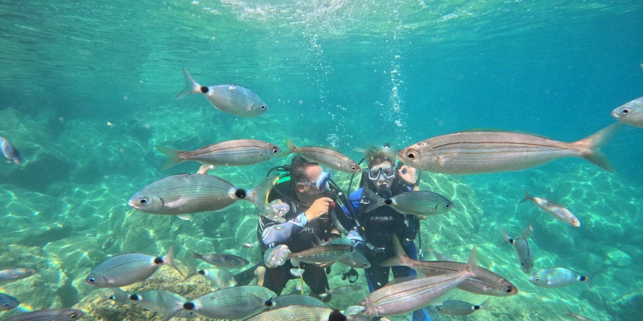 Marmaris'te dalış turizmine ilgi artıyor