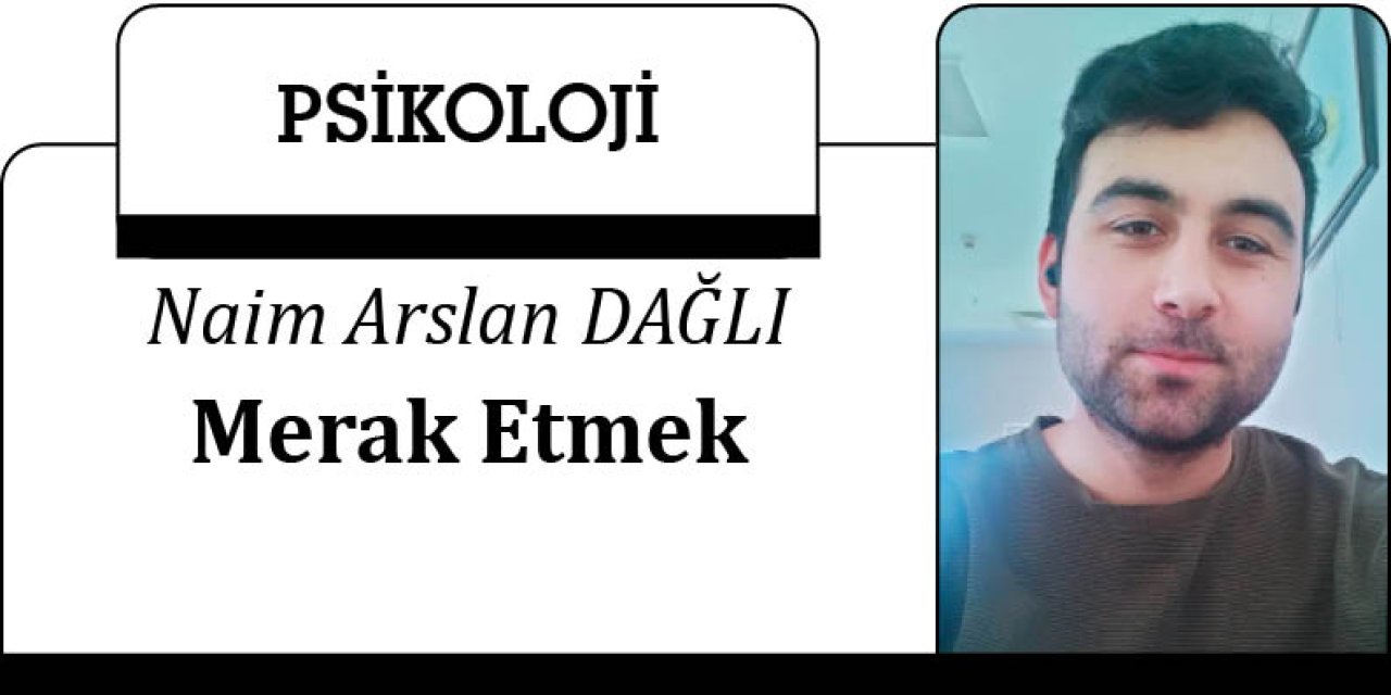 Merak Etmek