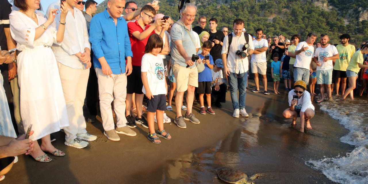 Uydu cihazıyla izlenen caretta caretta "Tuba" ikinci dünya turuna salındı