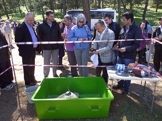 4 Caretta daha mavi sulara ulaştı