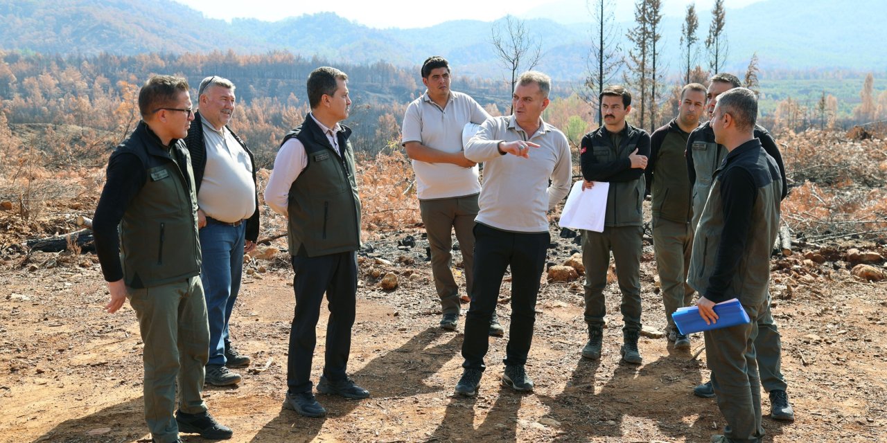 KÖYCEĞİZ'DE YANAN SAHALAR FİDAN DİKİMİ İÇİN HAZIRLANIYOR