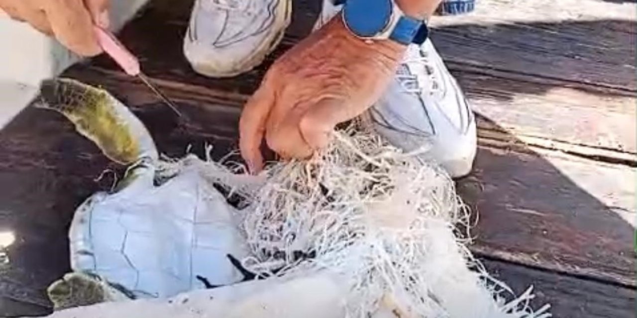 MARMARİS KÖRFEZİ’NDE ÇUVALA DOLANAN DENİZ KAPLUMBAĞASINI ÇEVRECİLER KURTARDI