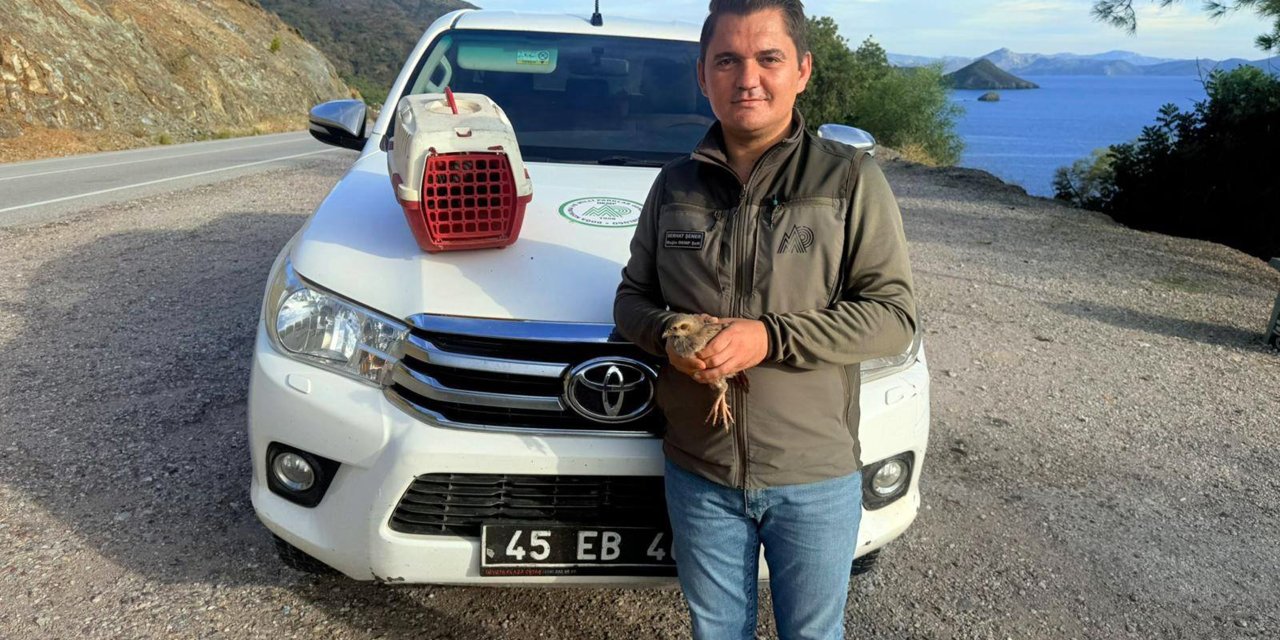 Yasadışı Kınalı Keklik satışına 28 bin TL ceza