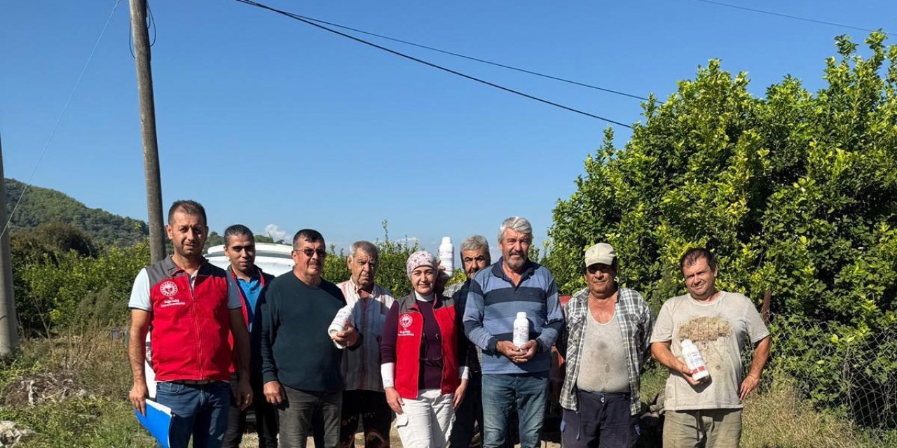 Ortaca’da narenciye bahçelerinde zararlılara karşı mücadele sürüyor
