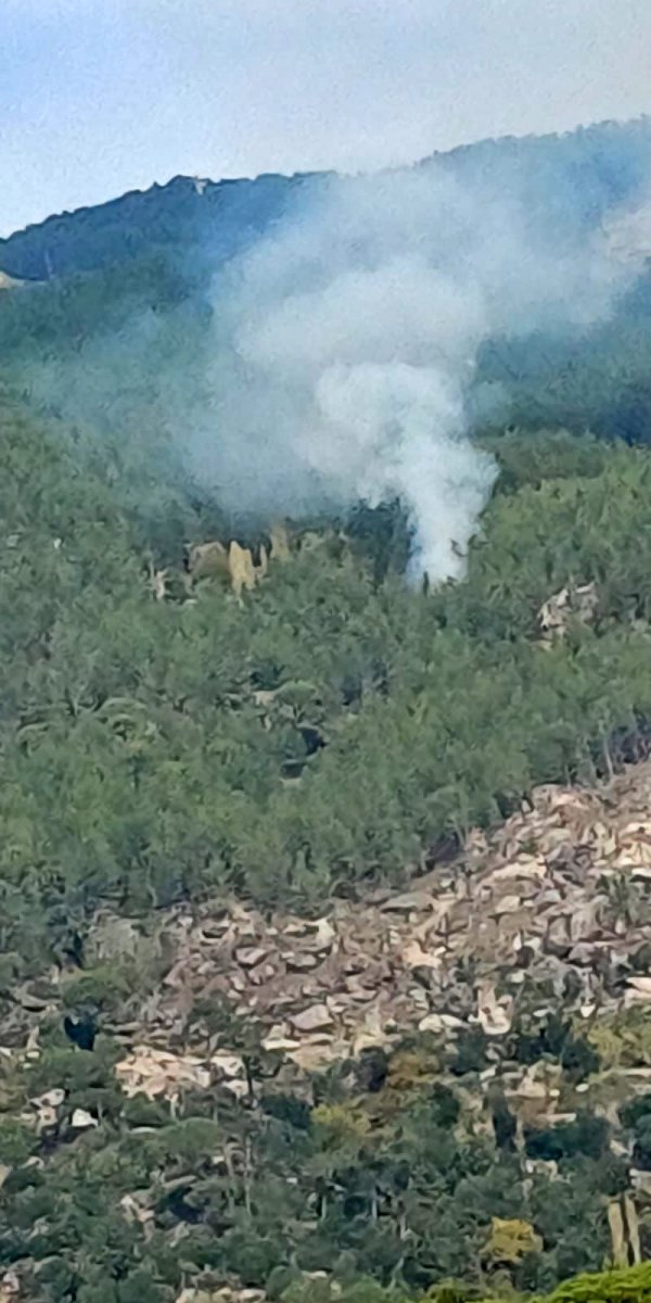 Kavaklıdere'de orman yangını