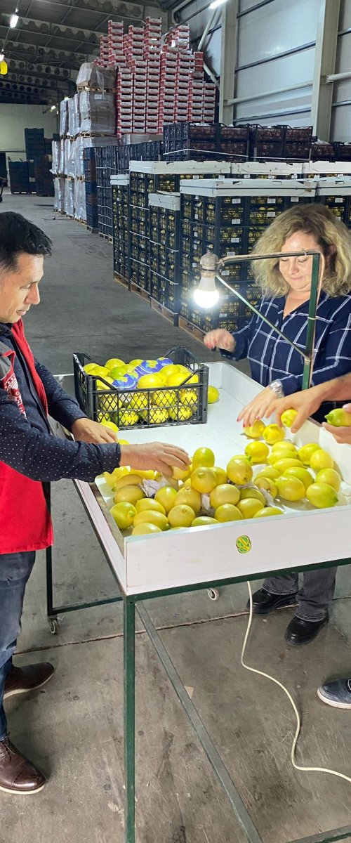 Ortaca'da ihracata giden ürünlere onay