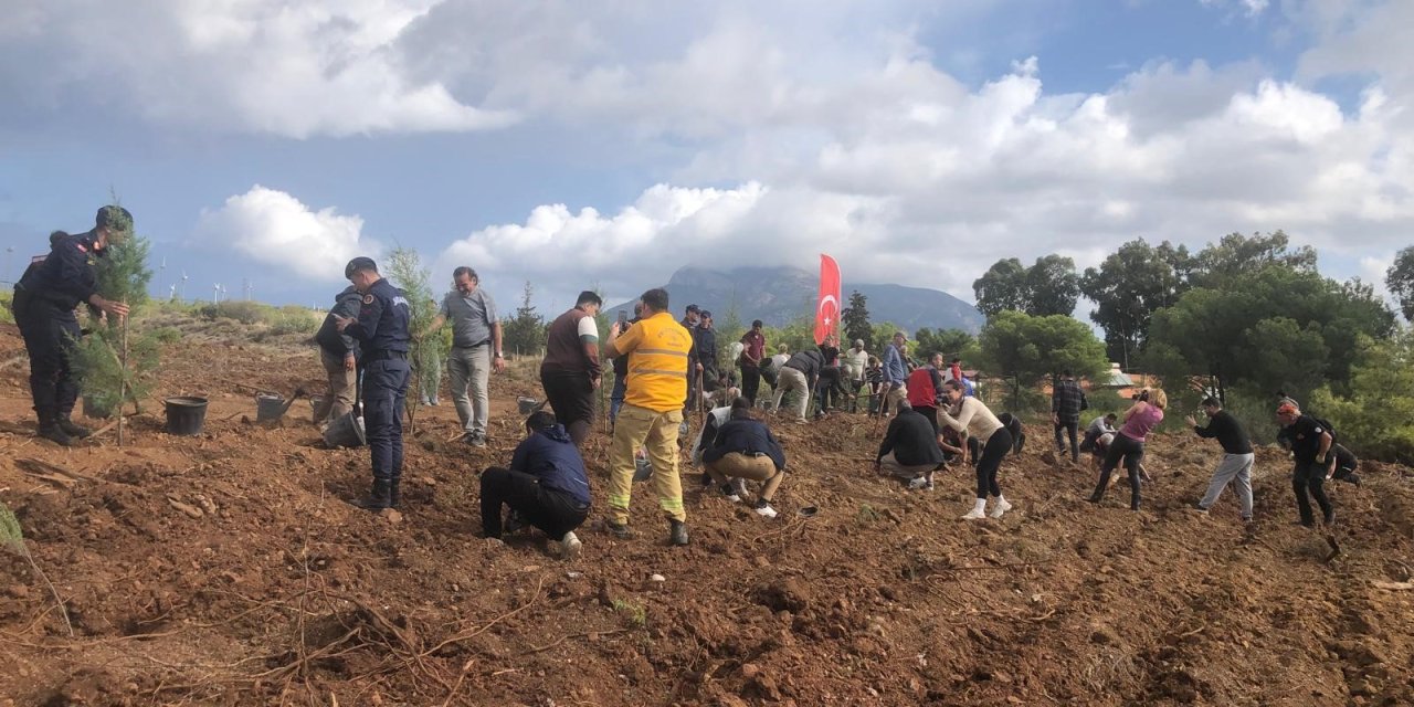 DATÇA’DA FİDANLAR TOPRAKLA BULUŞTU