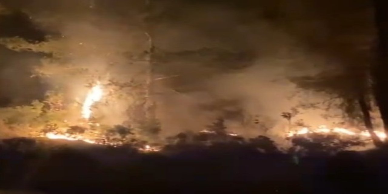 MUĞLA'DA ÇIKAN ORMAN YANGINI KISA SÜREDE KONTROL ALTINA ALINDI