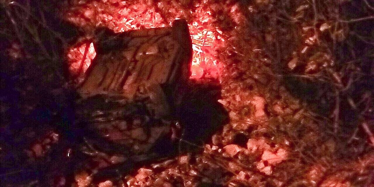 MENTEŞE'DE ARAÇ DEREYE UÇTU: 1 YARALI