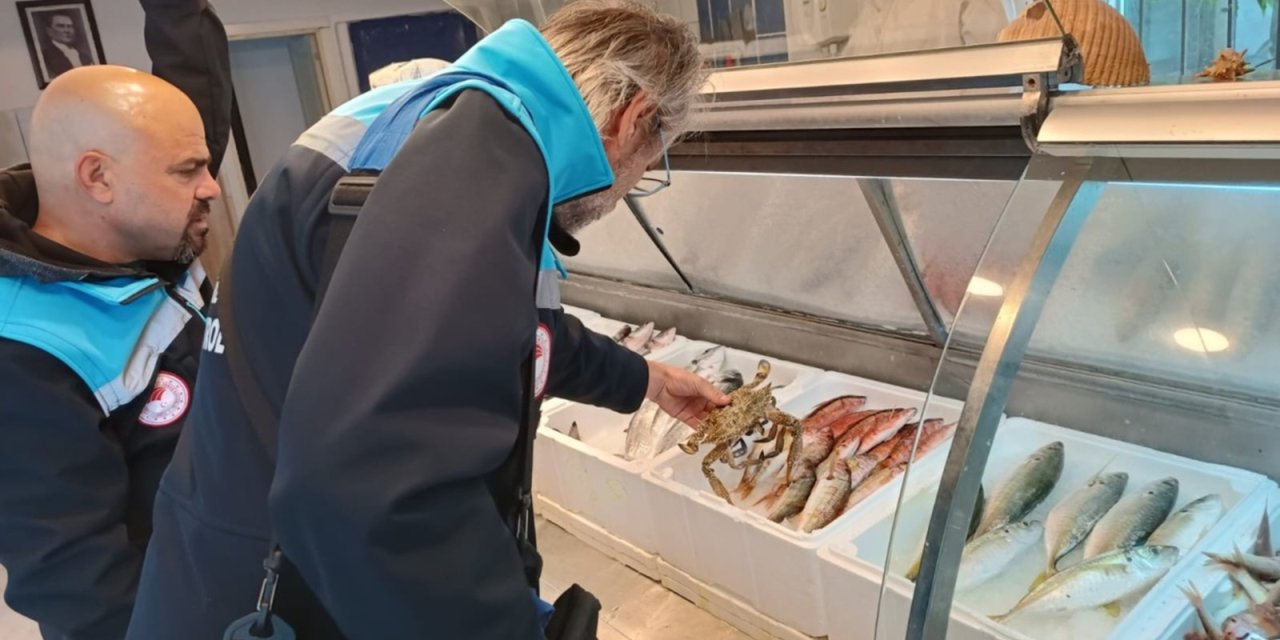 MUĞLA'DA 6 İŞLETMEYE 379 BİN TL CEZA