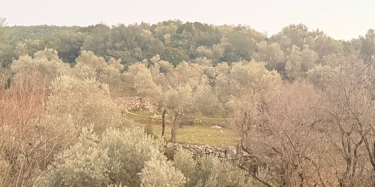 Tarlada aniden fenalaşan bir kişi hayatını kaybetti