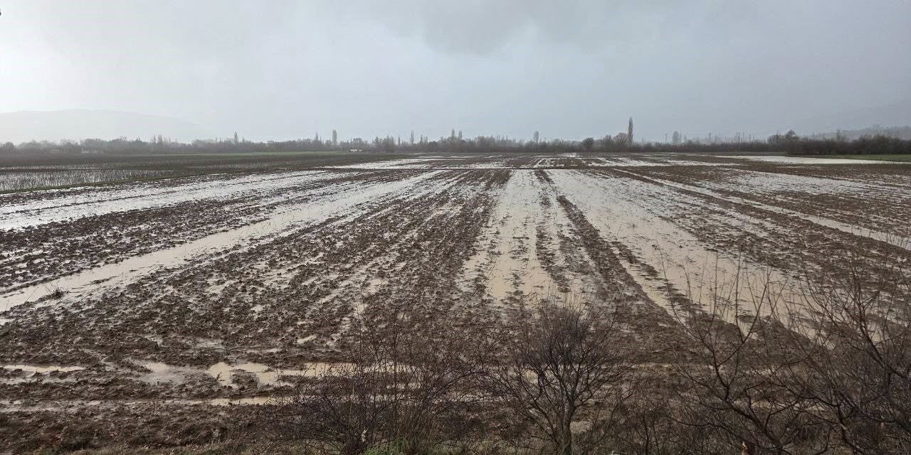 MENTEŞE'DE TARIM ARAZİLERİ İÇİN EKİPLER SAHAYA İNDİ