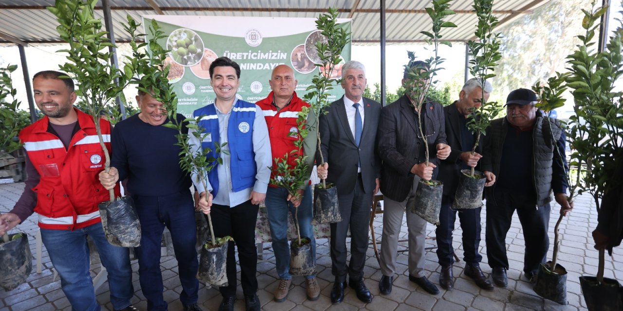 Büyükşehir’den Köyceğizli Üreticiye Destek: Don Zararına Karşı Fidan Hamlesi