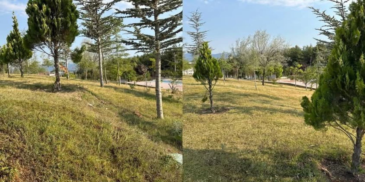 YATAĞAN KAYMAKAMLIĞI’NDAN MİLLET BAHÇESİ İDDİALARINA YANIT