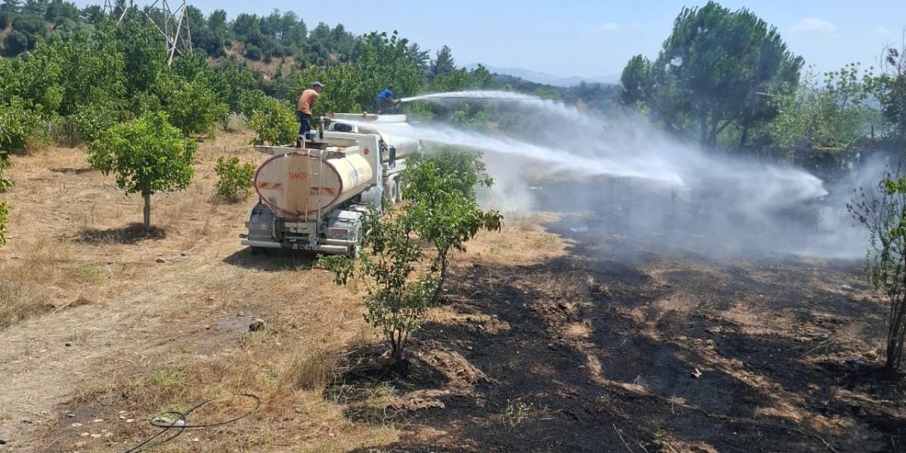 Yatağan'da Elektrik Direğinden Çıkan Yangın Bahçelere Sıçradı