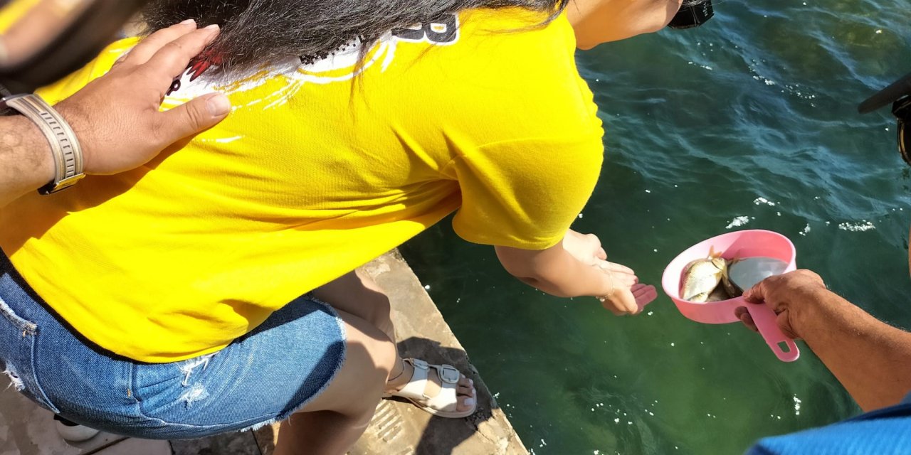 Köyceğiz Gölü’ne yavru balık bırakıldı