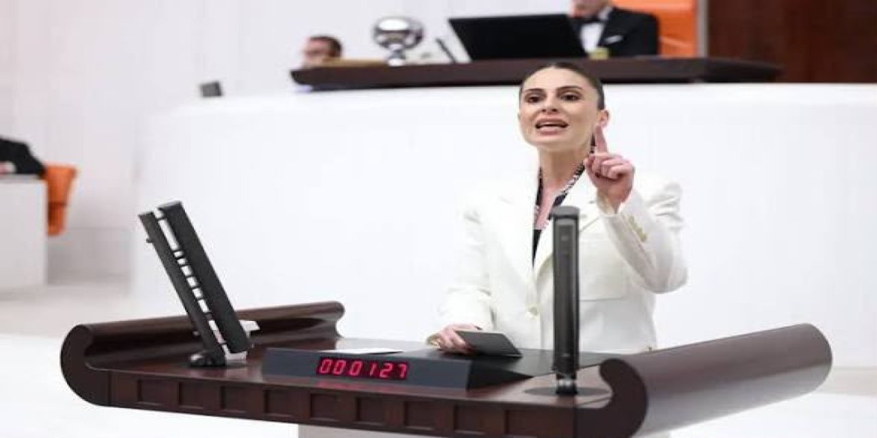 Yangın Araçlarından Geçiş Ücreti İddialarına Gizem Özcan’dan Tepki