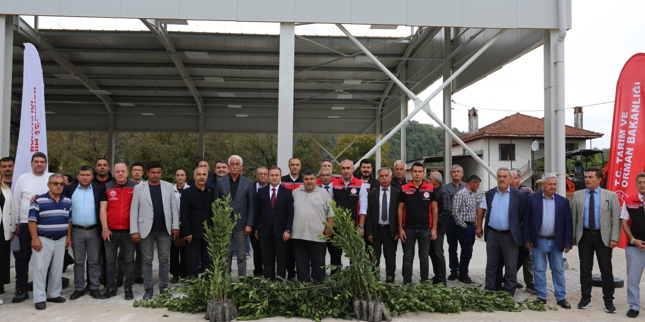 Muğla'da Defne ihracatından 75 milyon dolar bekleniyor