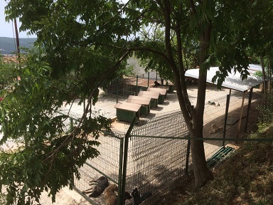 Geçici Hayvan Bakımevi yenilendi