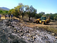 Yangınlar büyümeden söndürüldü