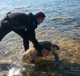 Caretta son anda kurtarıldı