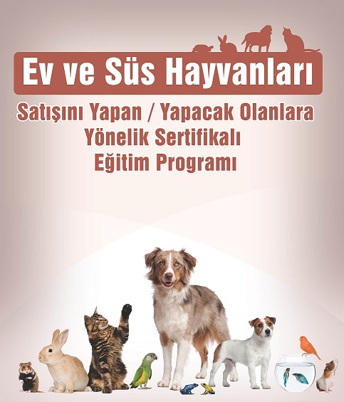 Büyükşehir’den Sertifikalı Eğitim