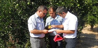 Akdeniz Sineği ile mücadele başladı