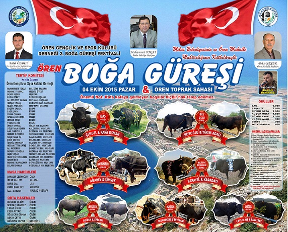 Boğalar Ören arenasına çıkıyor