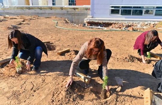Tıp Fakültesi ormanı oluşturuluyor