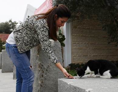 Bodrum’un örnek AVM’si