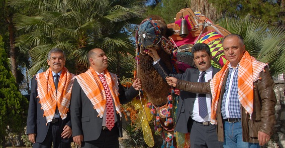 Yatağan Deve Güreşleri 6 Mart’ta