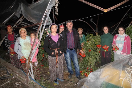 Hortum seraları yıktı geçti