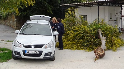 Lodos yıktı geçti