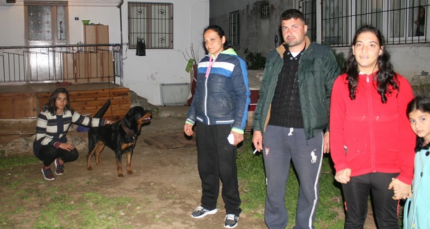 Vatandaşlar hayvan nöbeti tutuyor