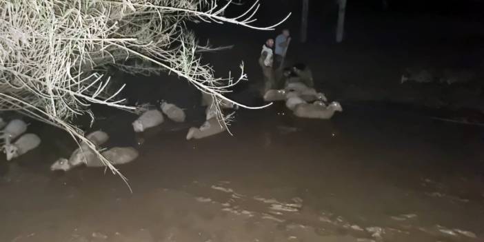 İtfaiyeden koyun kurtarma operasyonu