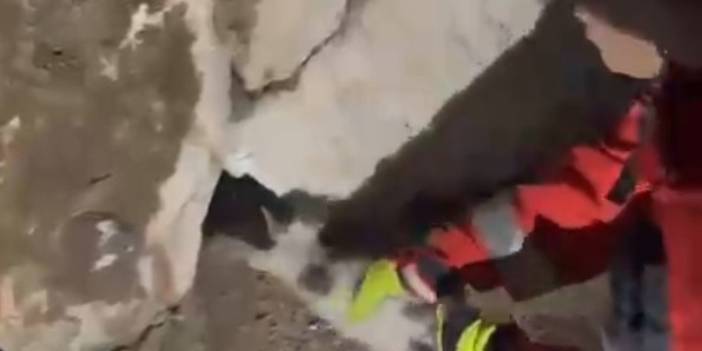 Duvara sıkışan kediyi itfaiye kurtardı