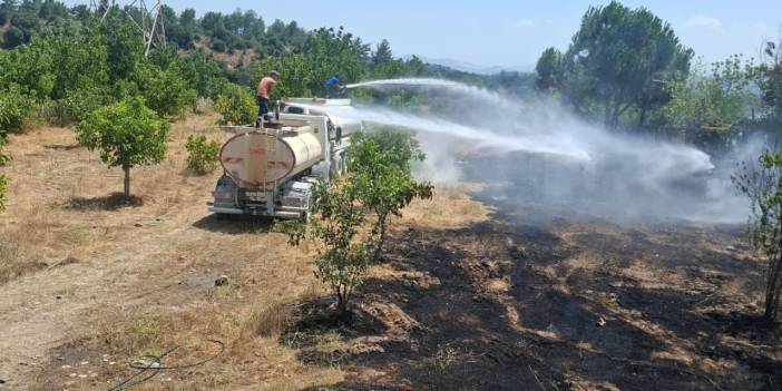 Yatağan'da Elektrik Direğinden Çıkan Yangın Bahçelere Sıçradı