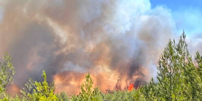 Fethiye Yeşilüzümlü'de Yangın Yeniden Alevlendi
