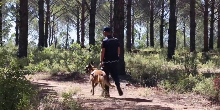 Muğla Jandarması "Yeşil Vatan" nöbetinde