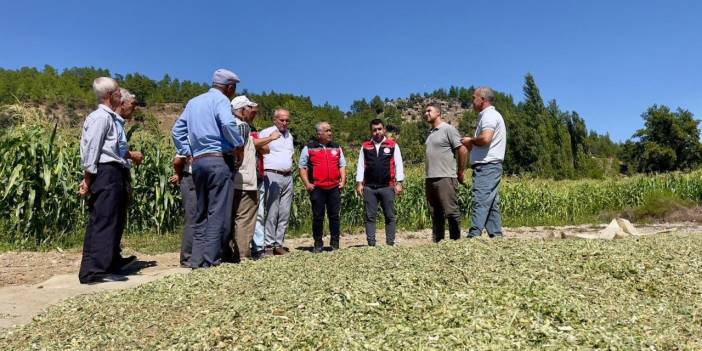 Menteşe'de üreticilere silajlık mısır eğitimi verildi